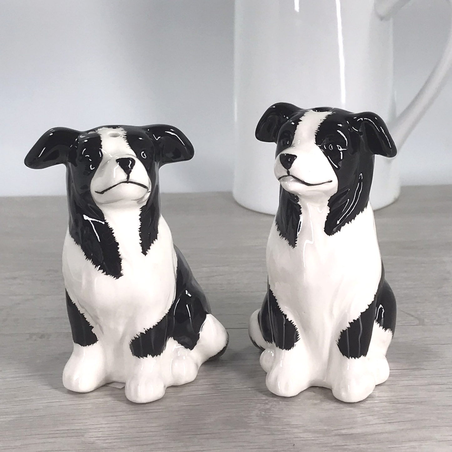 Border Collie design ceramic Salt & Pepper cruet set