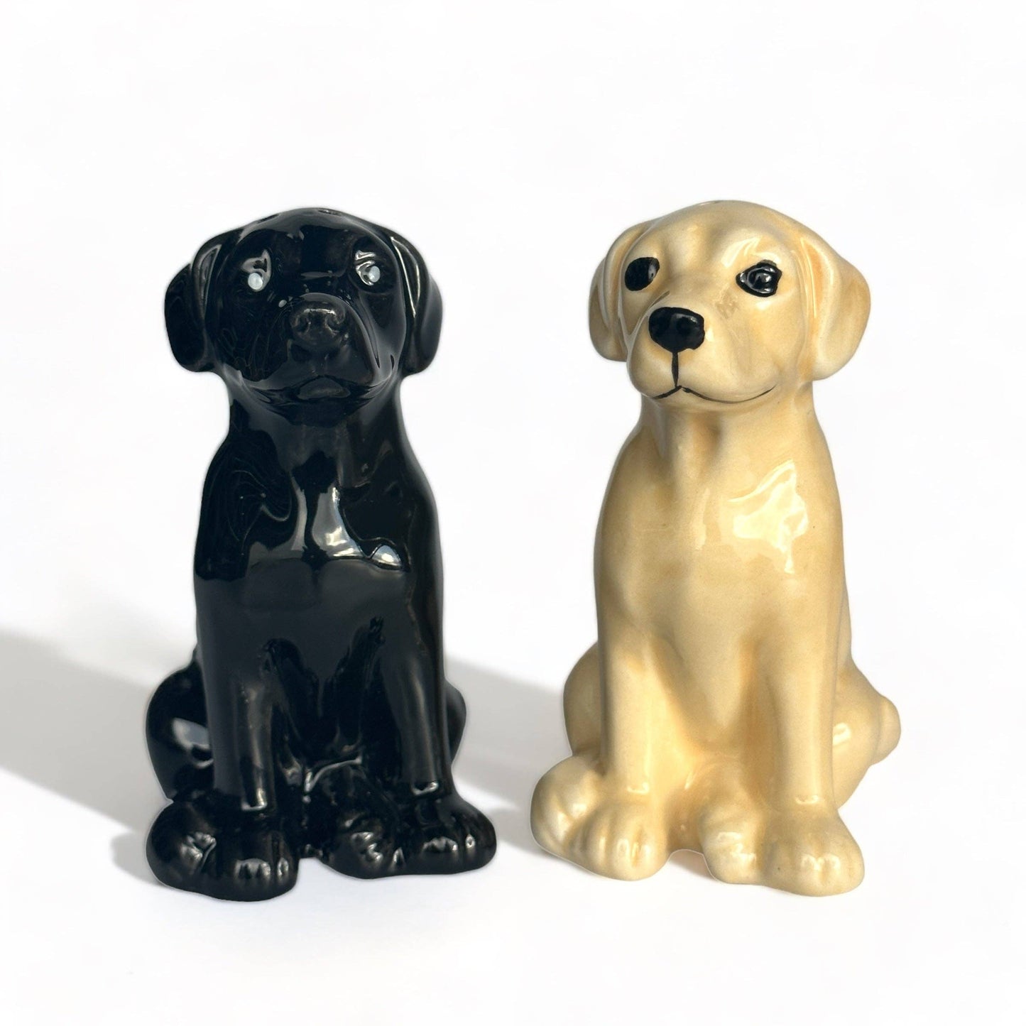 Golden and Black Labrador ceramic Salt & Pepper Set