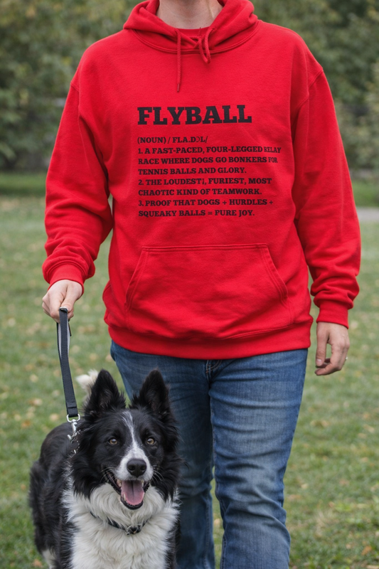 Flyball Definition Hoodie