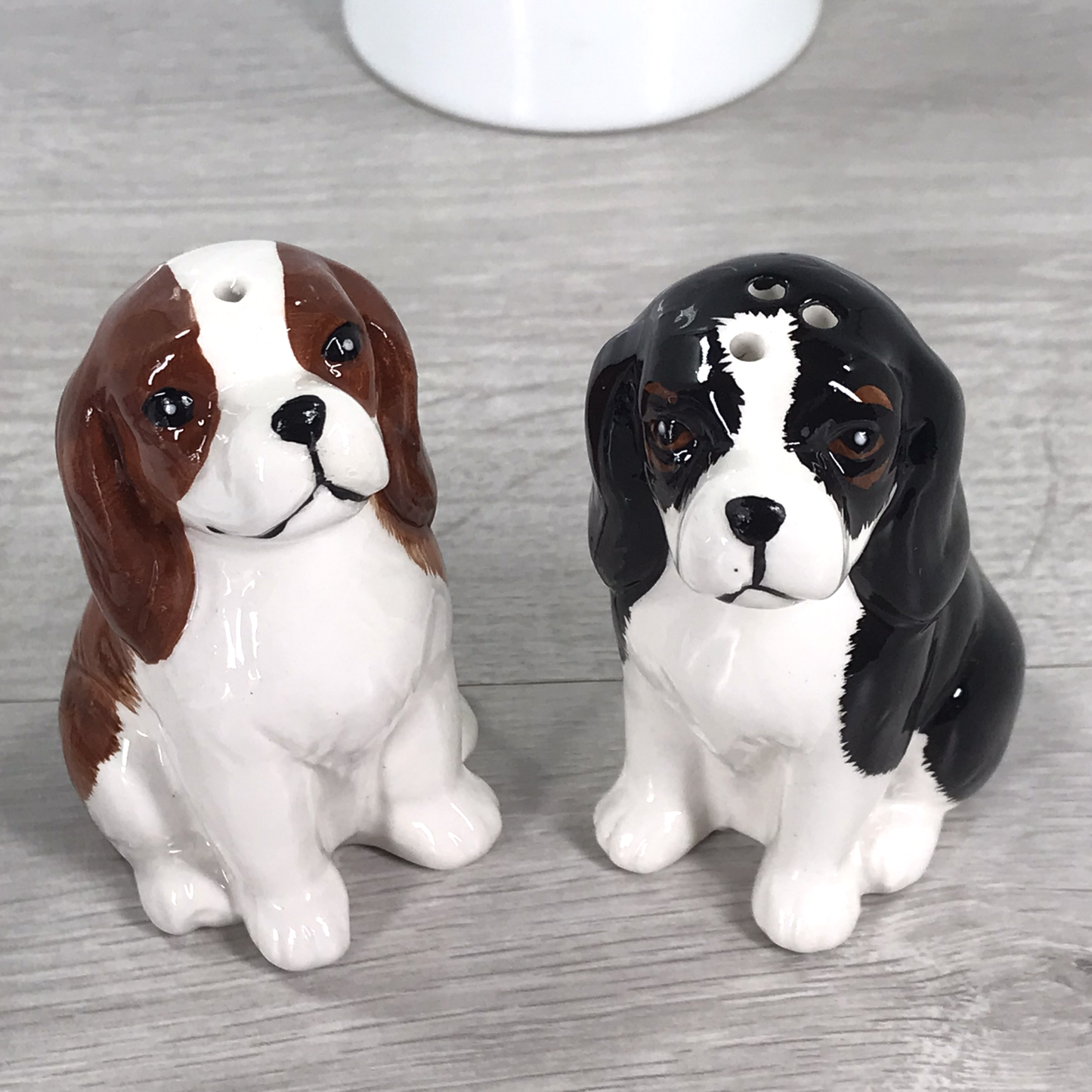 Cavalier King Charles Spaniel ceramic Salt & Pepper Set