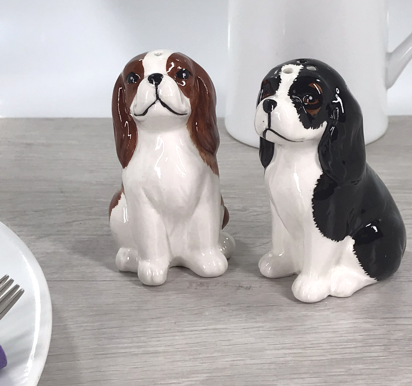 Cavalier King Charles Spaniel ceramic Salt & Pepper Set
