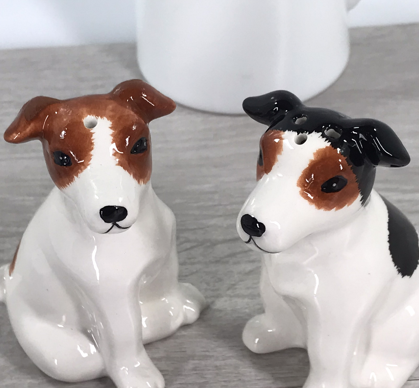 Jack Russell Terrier design ceramic Salt & Pepper set