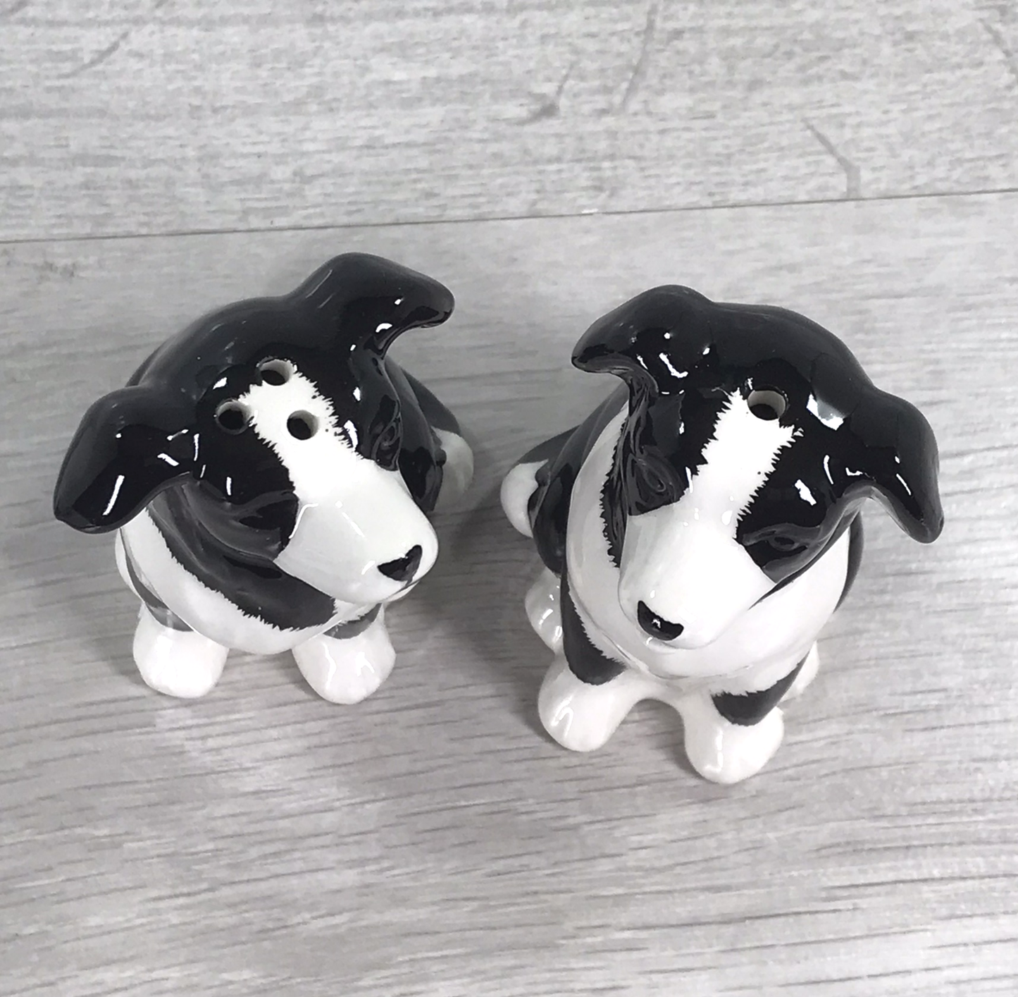 Border Collie design ceramic Salt & Pepper cruet set