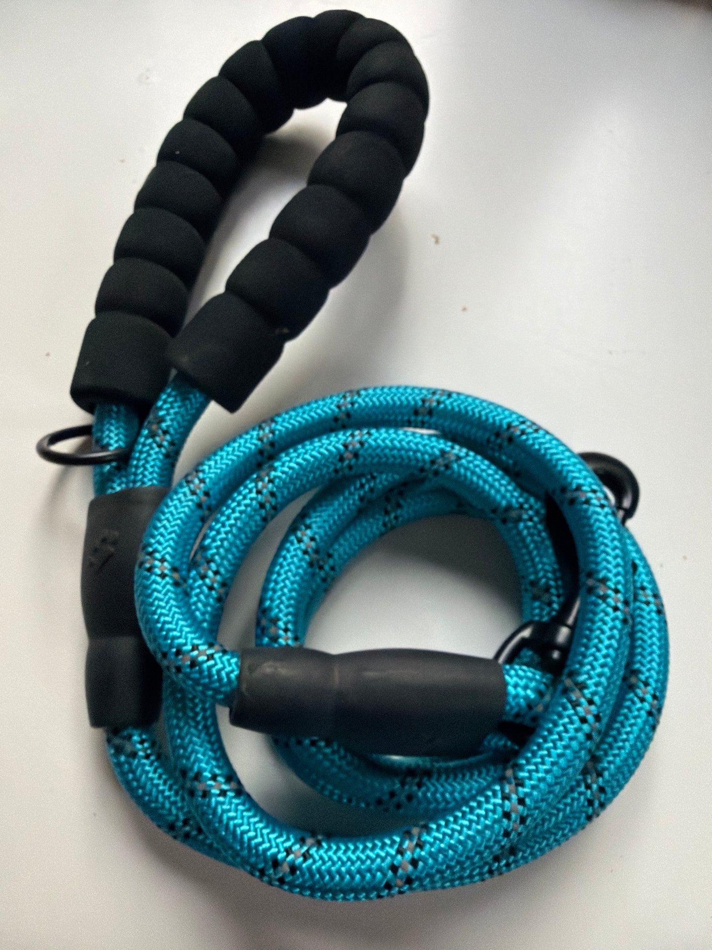 Foam Handle Nylon Dog Lead