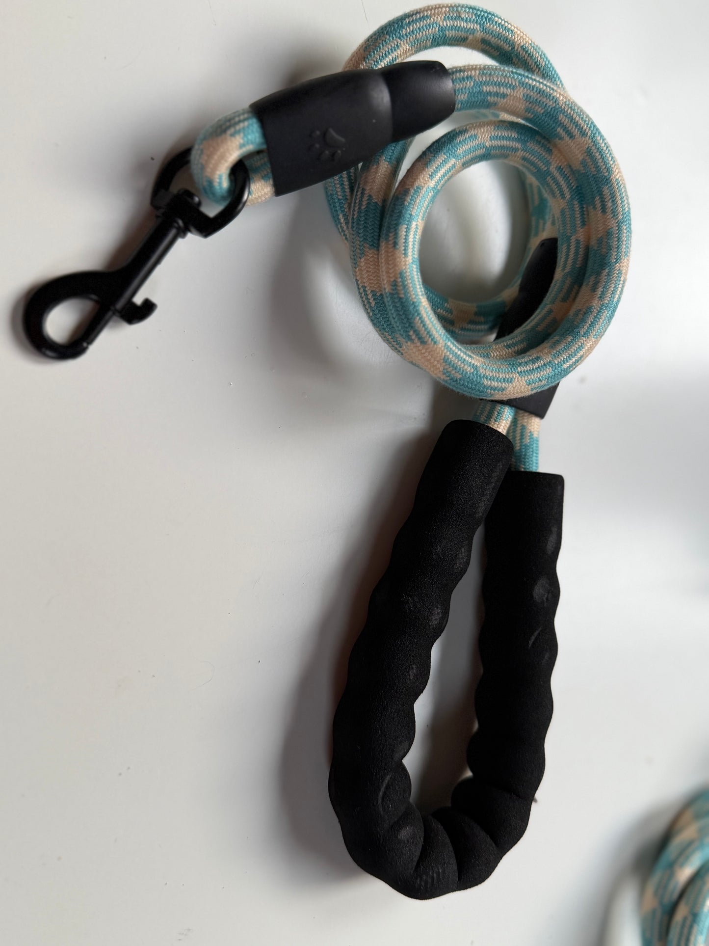 Foam Handle Nylon Dog Lead