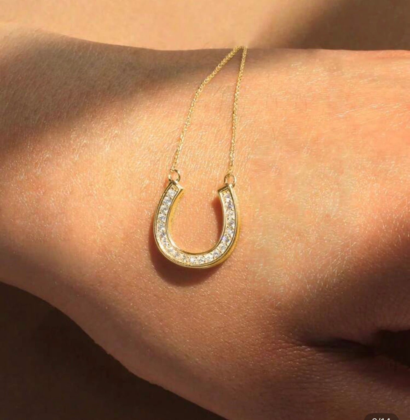 Horseshoe Necklace