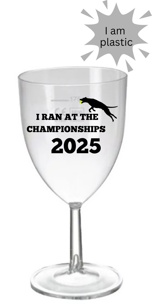 I Ran at the Championships 2025 Plastic Wine Glass - Flyball